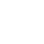 NetEnt logo